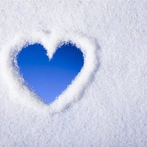 Meet your Posher, Rose